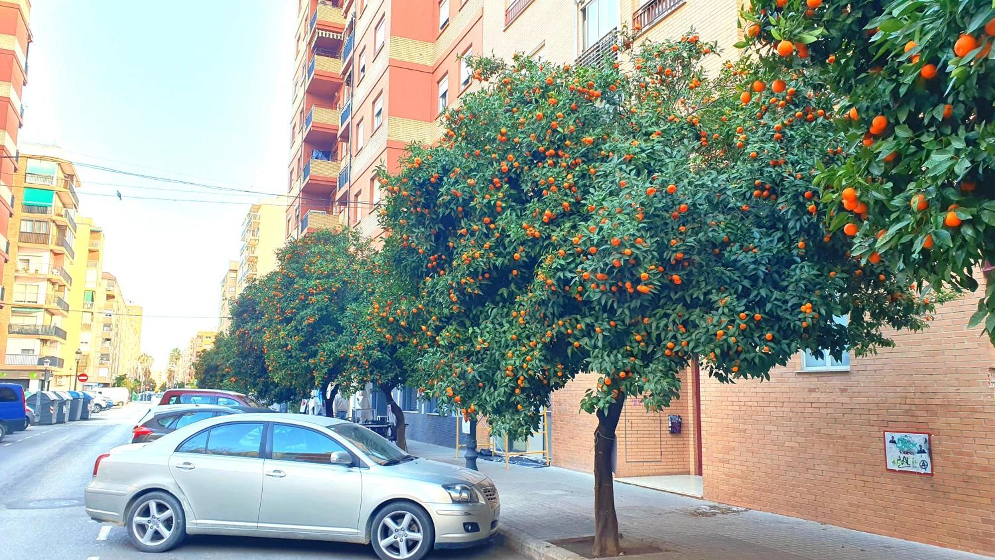 Nuevo Apartamentos Costa Del Alma Valência Exterior foto